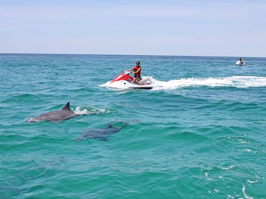 image n.3 of Destin: Crab Island Dolphin Watching Jet Ski Tour activity in Destin, uploaded by supplier