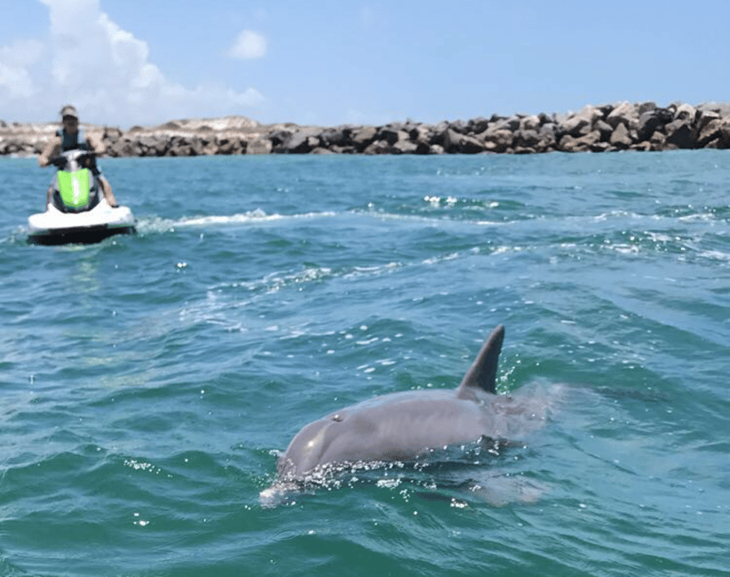 image n.2 of Destin: Crab Island Dolphin Watching Jet Ski Tour activity in Destin, uploaded by supplier