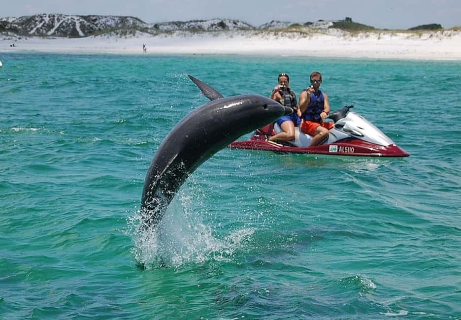 image n.1 of Destin: Crab Island Dolphin Watching Jet Ski Tour activity in Destin, uploaded by supplier