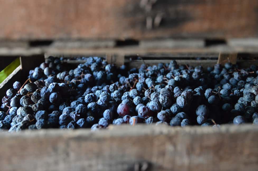 Immagine nº 9 di Da Verona: Tour di mezza giornata per la degustazione di vini Amarone attività a Verona, caricata dal fornitore