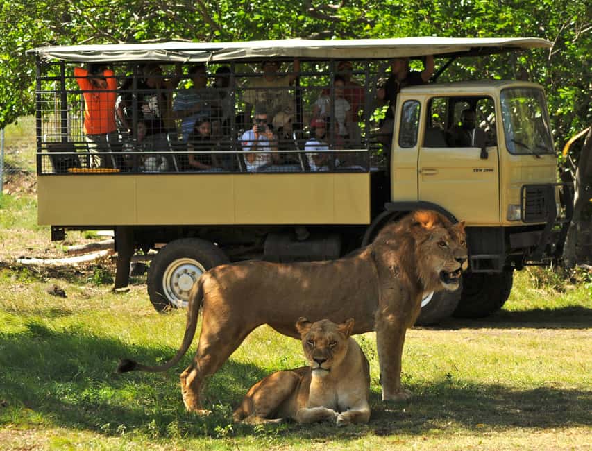 bild nr.18 av Mauritius: Guidad resa till sydväst med Safari Tour aktivitet i Mauritius, uppladdad av arrangören
