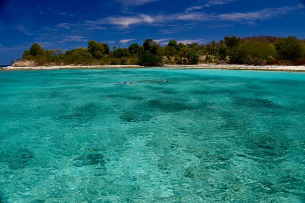 billede nr.5 af aktiviteten Thomas & St John: Bådtur med snorkling og strande i Sankt Jan, uploadet af udbyder