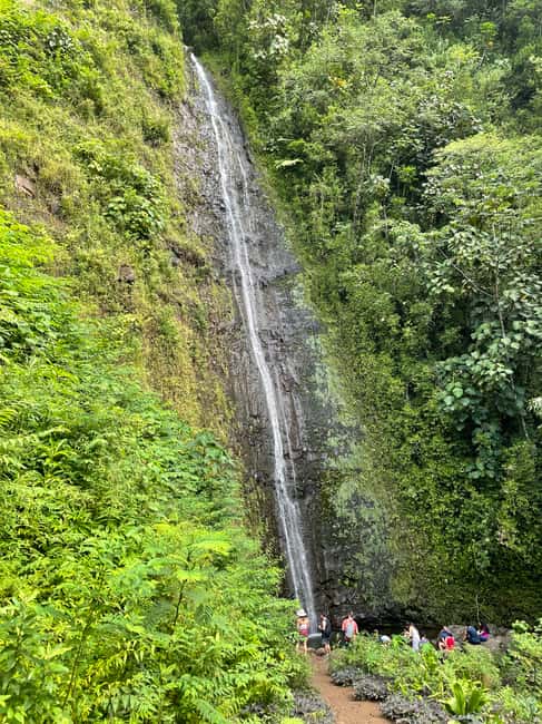 Immagine nº 5 di Oahu: Escursione alle cascate di Manoa e giornata sulla spiaggia del lato est attività a Honolulu, caricata dal fornitore