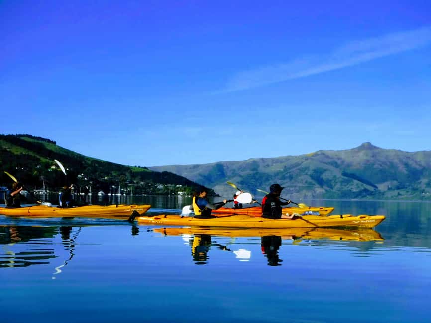 image n.8 of Akaroa: Akaroa Marine Reserve Sea Kayaking Tour activity in South Island, uploaded by supplier