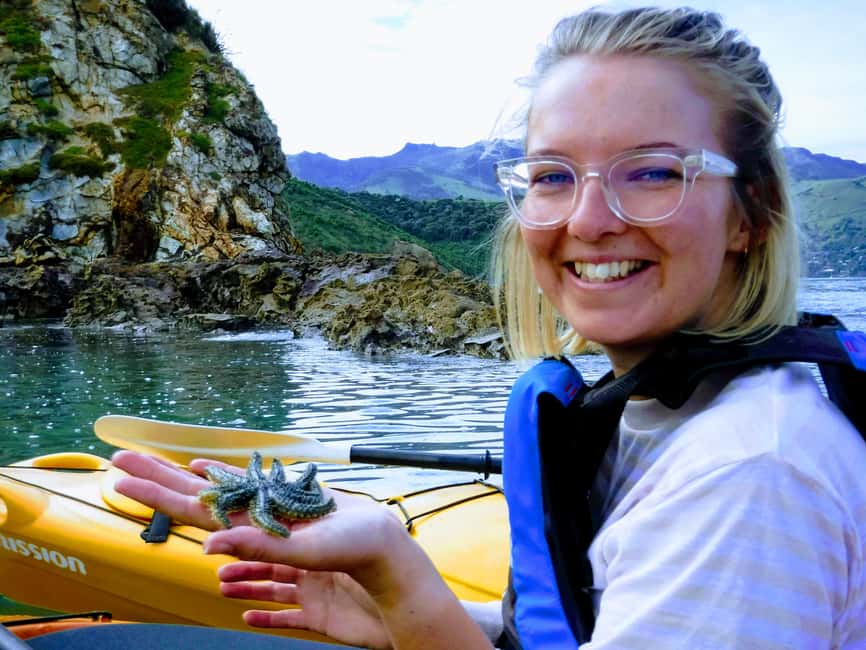 image n.10 of Akaroa: Akaroa Marine Reserve Sea Kayaking Tour activity in South Island, uploaded by supplier