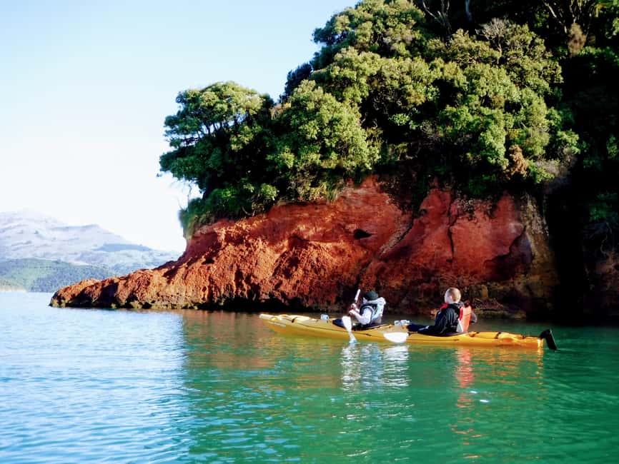image n.12 of Akaroa: Akaroa Marine Reserve Sea Kayaking Tour activity in South Island, uploaded by supplier