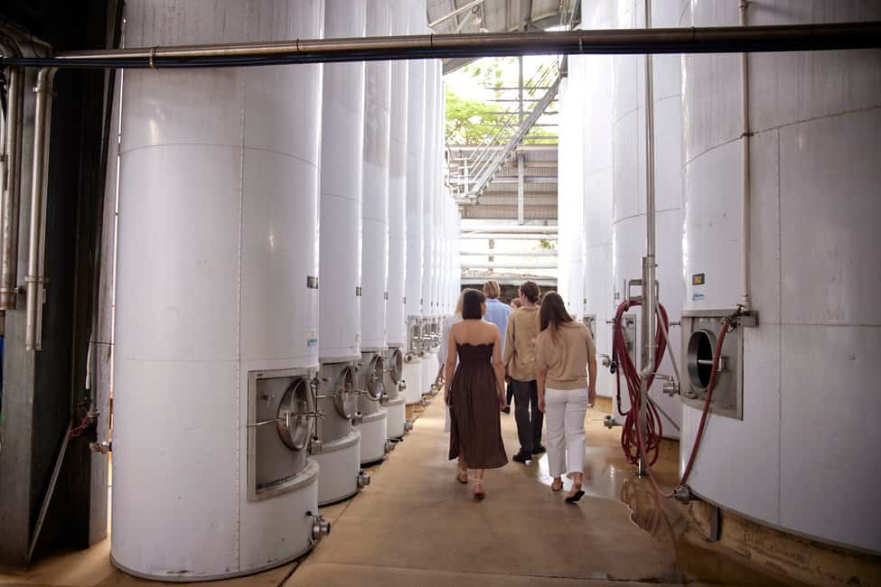 image n.3 of Mount Cotton: Winery Tour & Tasting with 3-Course Lunch activity in Brisbane, uploaded by supplier