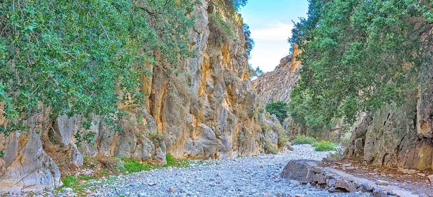image n.15 of From Rethymno: Imbros Gorge & Libyan Guided Sea Tour activity in Crete, uploaded by supplier