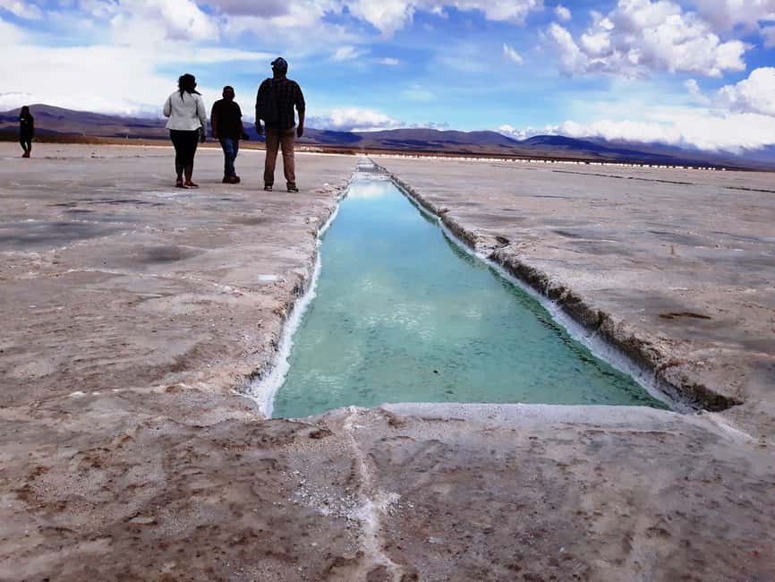 image n.13 of From Salta: Cafayate, Salinas Grandes, & Hornocal Tour activity in Cafayate, uploaded by supplier