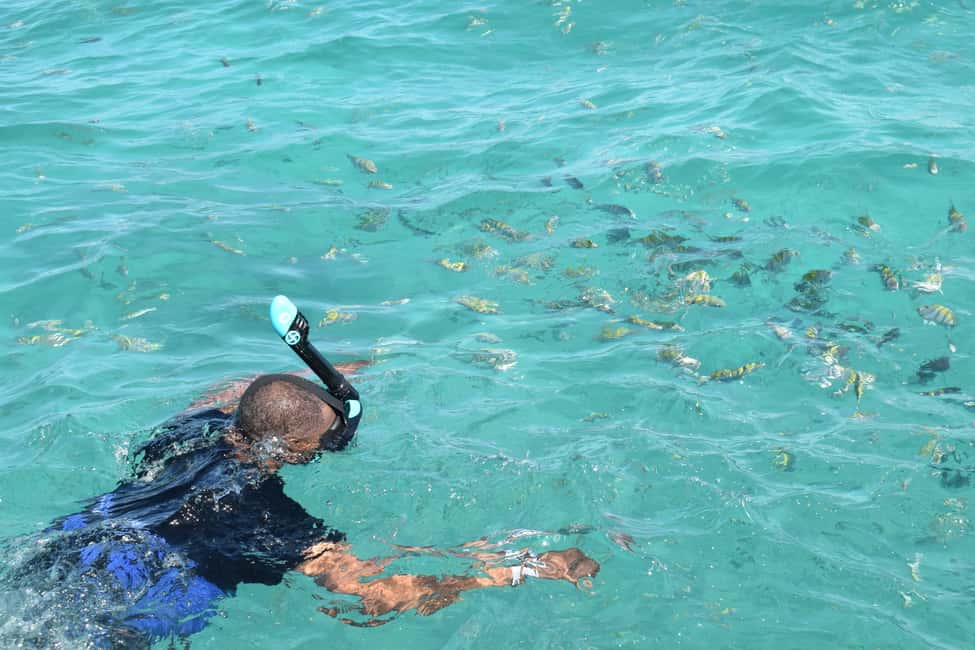 image n.10 of Punta Cana: Private VIP Catamaran Party Cruise and Snorkel activity in Punta Cana, uploaded by supplier