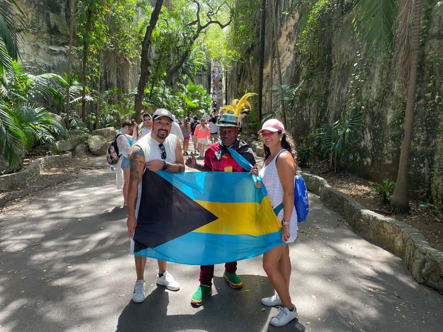 Image N°3 de Nassau : Visite culinaire en scooter électrique avec dégustation de mets et de boissons locales activité à Nassau, Bahamas, publiée par le prestataire
