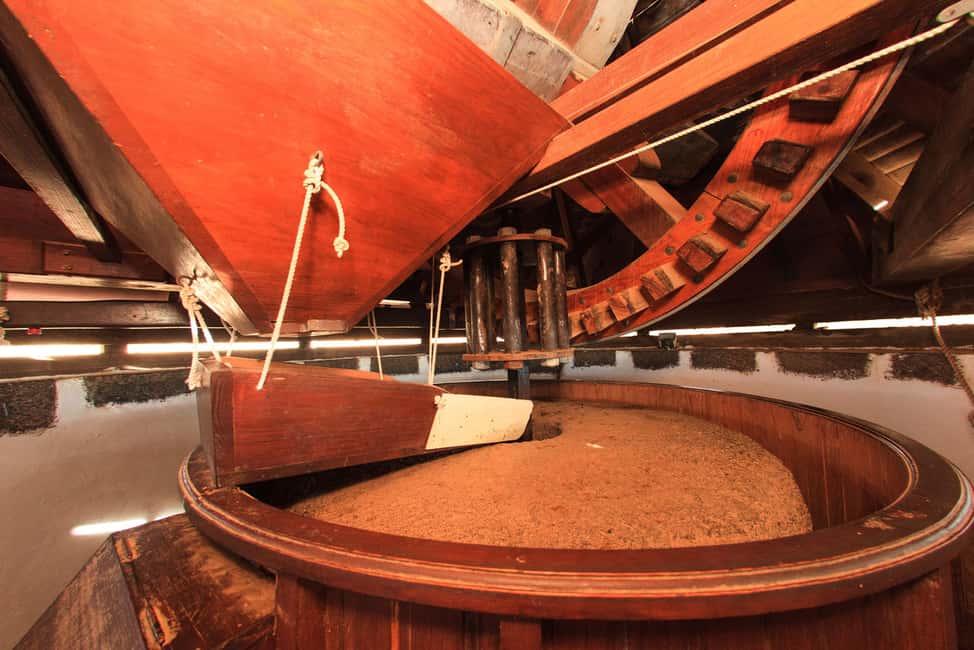 image n.5 of Fuerteventura: Tickets to Salt, Cheese and Windmill Museums activity in Canary Islands, uploaded by supplier