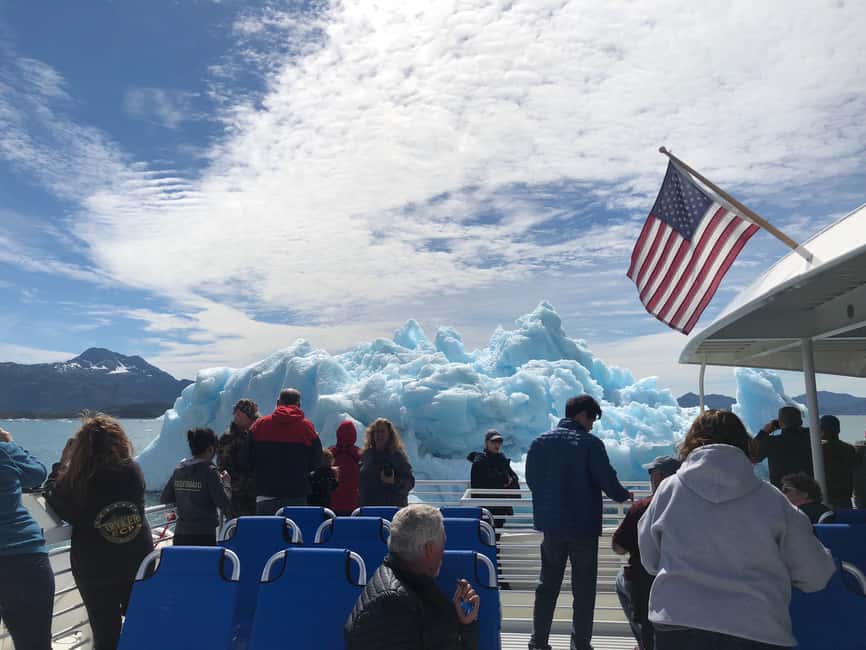 image n.7 of From Valdez: 7.5-hour Meares Glacier & Wildlife Cruise activity in Valdez, uploaded by supplier
