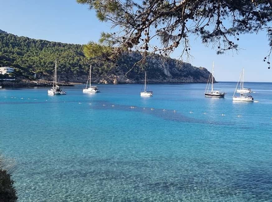 image n.13 of From Palma: Luxury Catamaran Group Tour with Tapas & Drinks activity in Balearic Islands, uploaded by supplier