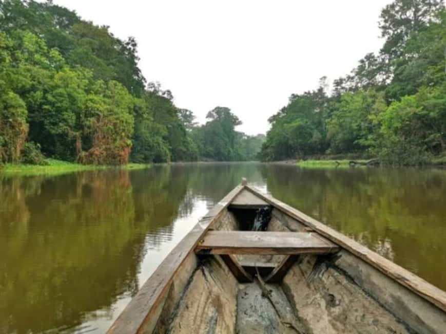 image n.5 of From Leticia: Wild Amazonas Adventure 4-Day Tour activity in Huanuco Region, uploaded by supplier