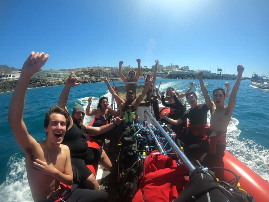 billede nr.2 af aktiviteten Tenerife: Dykkeroplevelse for begyndere i skildpaddeområdet i Costa Adeje, uploadet af udbyder