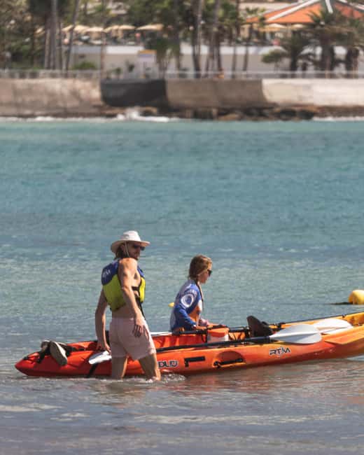 image n.17 of Tenerife: Kayak Safari and Sea Turtle Snorkeling with Photos activity in Arona, Tenerife, uploaded by supplier