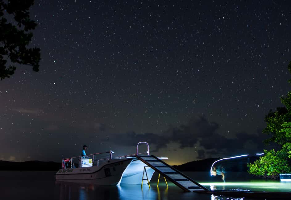 Obraz nr 1 z atrakcji Vieques: Wycieczka łodzią po bioluminescencyjnej zatoce w Fajardo, przesłany przez organizatora