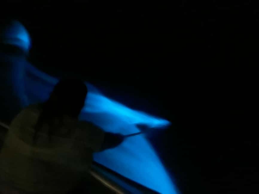 Obraz nr 5 z atrakcji Vieques: Wycieczka łodzią po bioluminescencyjnej zatoce w Fajardo, przesłany przez organizatora