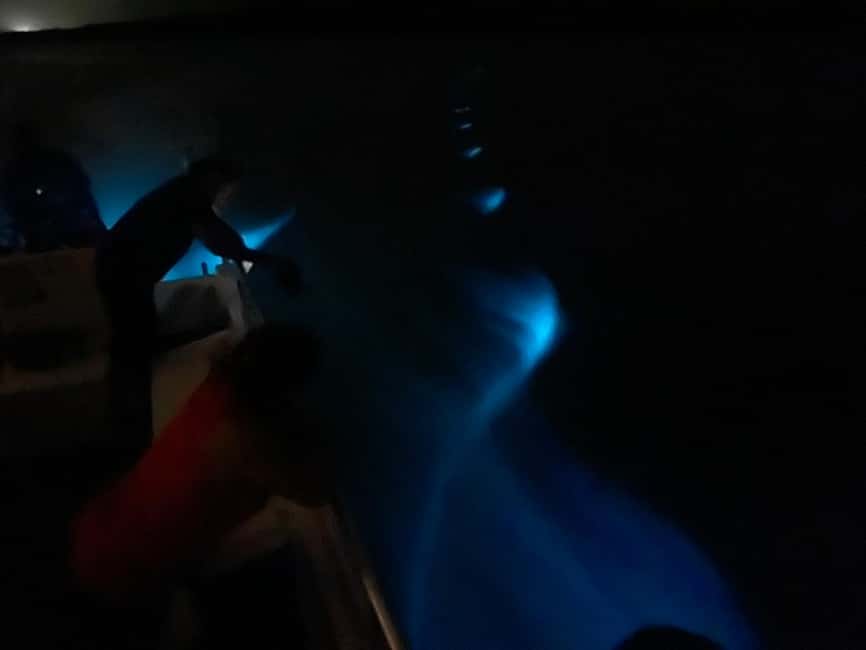Obraz nr 6 z atrakcji Vieques: Wycieczka łodzią po bioluminescencyjnej zatoce w Fajardo, przesłany przez organizatora