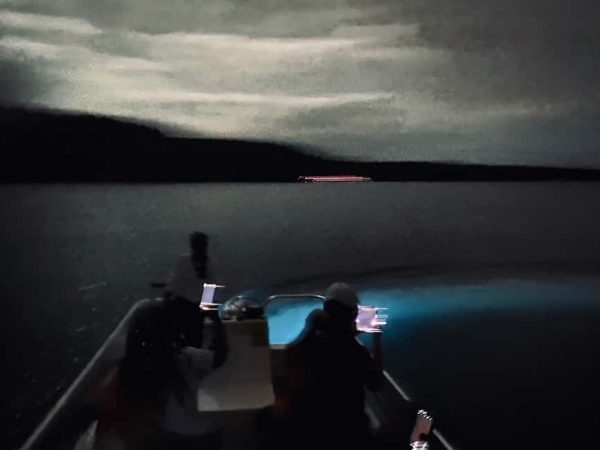 Obraz nr 7 z atrakcji Vieques: Wycieczka łodzią po bioluminescencyjnej zatoce w Fajardo, przesłany przez organizatora