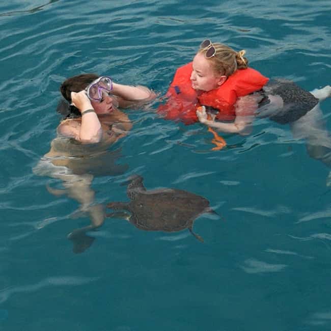 Image N°14 de Ayia Napa : croisière dans le lagon bleu et à Turtle Cove avec déjeuner activité à Ayia Napa, publiée par le prestataire