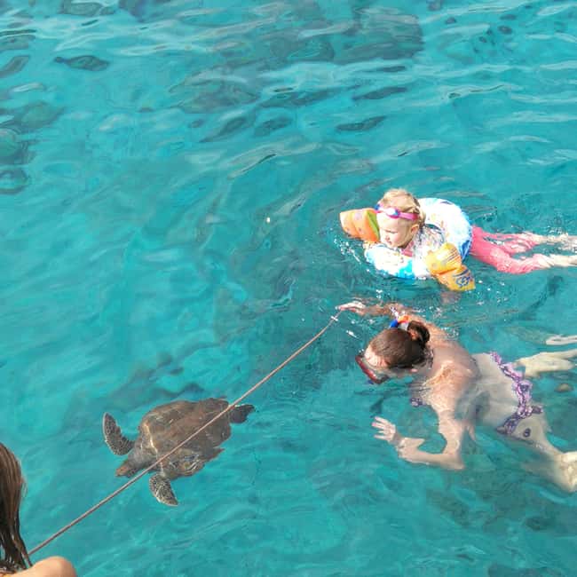 Image N°16 de Ayia Napa : croisière dans le lagon bleu et à Turtle Cove avec déjeuner activité à Ayia Napa, publiée par le prestataire