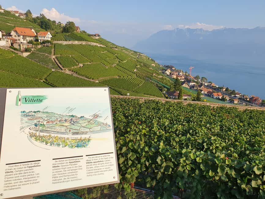 imagen n.º 12 de Desde Zúrich: Excursión de 7 días a Ginebra con entradas y alojamiento actividad en Interlaken, subida por el proveedor