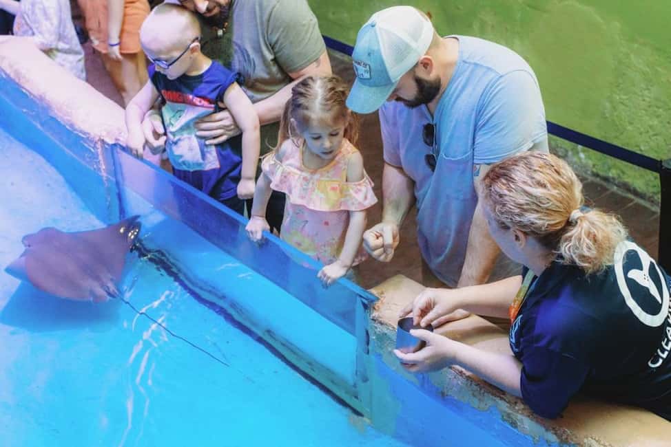 image n.9 of Clearwater: Eco-Certified Marine Aquarium General Admission activity in Clearwater, uploaded by supplier