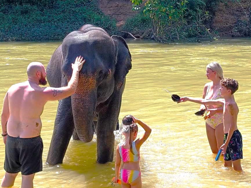 image n.9 of Khao Lak: Khao Sok Private Elephant Daycare & Bamboo Rafting activity in Khlong Sok, uploaded by supplier