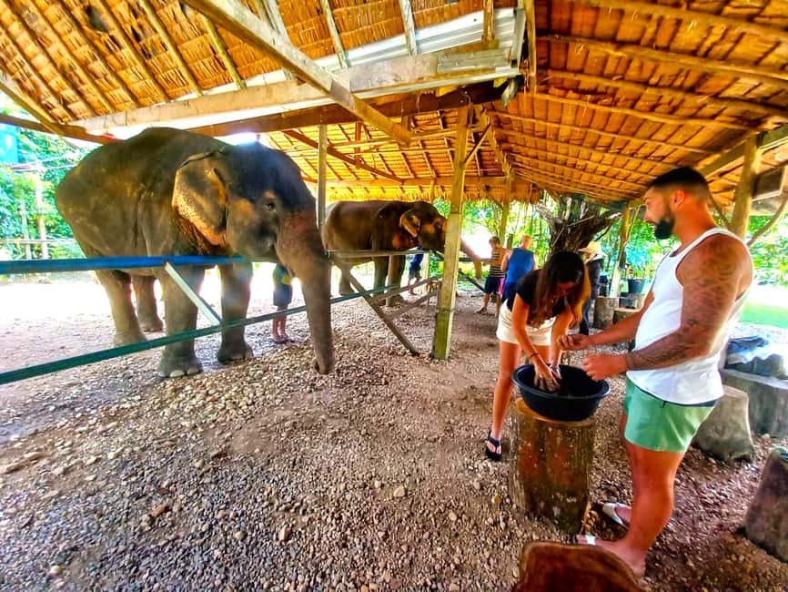 image n.7 of Khao Lak: Khao Sok Private Elephant Daycare & Bamboo Rafting activity in Khlong Sok, uploaded by supplier