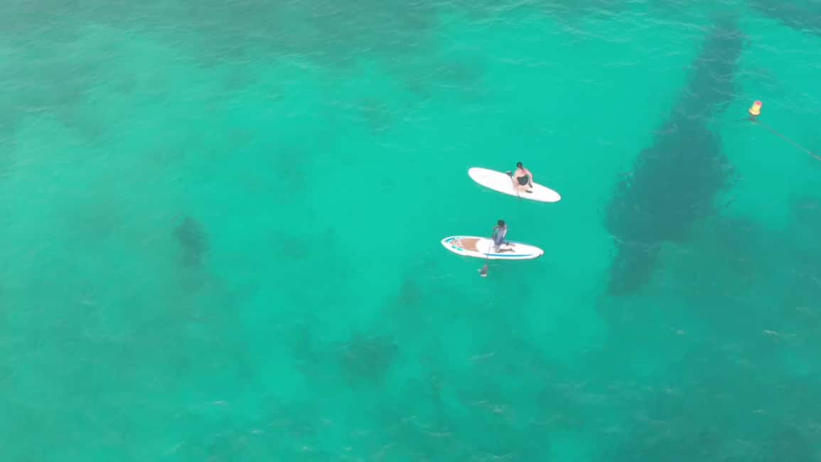 imagem n.6 de Santa Maria: passeio de stand-up paddle atividade em Santa Maria, Cabo Verde, carregada pelo fornecedor