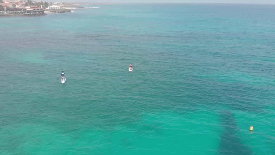 imagem n.7 de Santa Maria: passeio de stand-up paddle atividade em Santa Maria, Cabo Verde, carregada pelo fornecedor