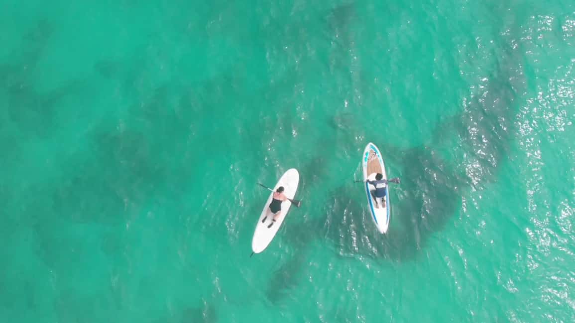 imagem n.8 de Santa Maria: passeio de stand-up paddle atividade em Santa Maria, Cabo Verde, carregada pelo fornecedor