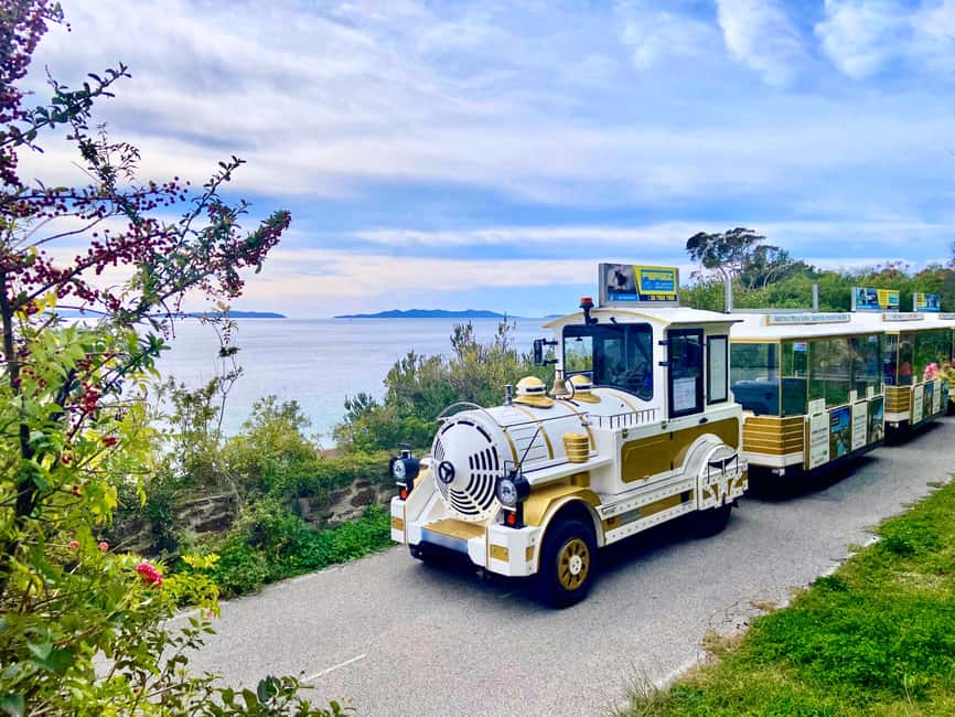 image n.2 of The Little Train of Lavandou's beaches activity in Le Lavandou, uploaded by supplier