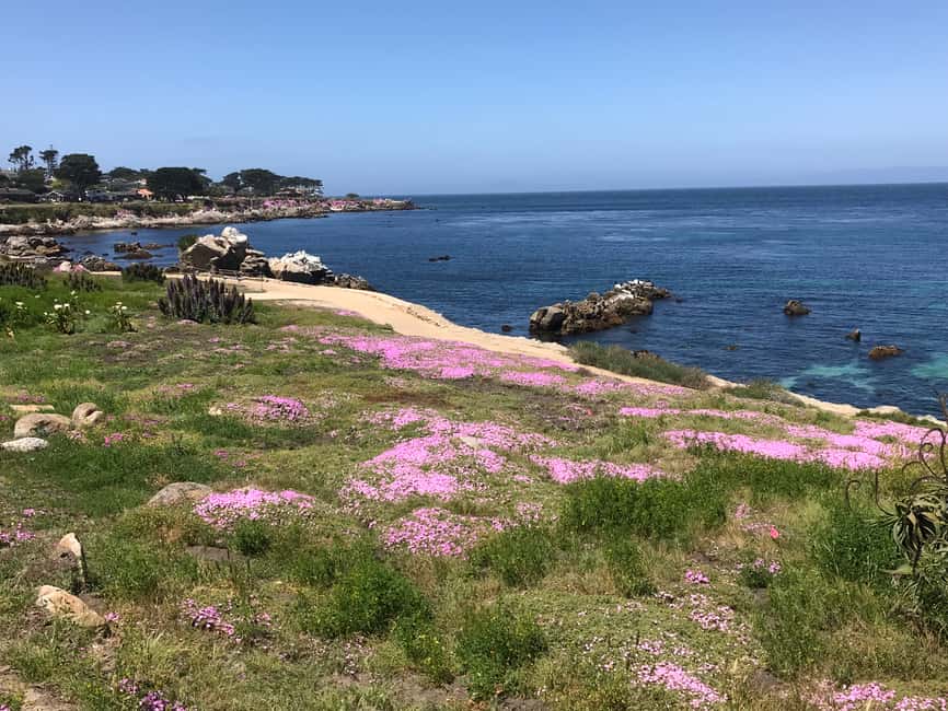 image n.12 of Monterey Peninsula Sightseeing Tour including 17 Mile Drive activity in California, uploaded by supplier