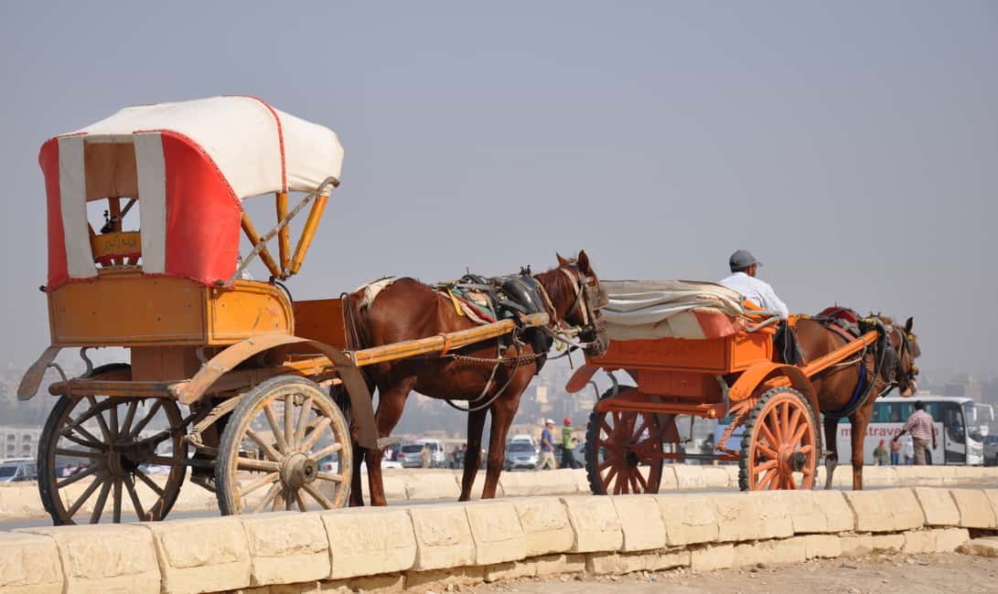 image n.13 of Cairo: Half Day Pyramids Tour by Camel or Horse Carriage activity in Giza, uploaded by supplier