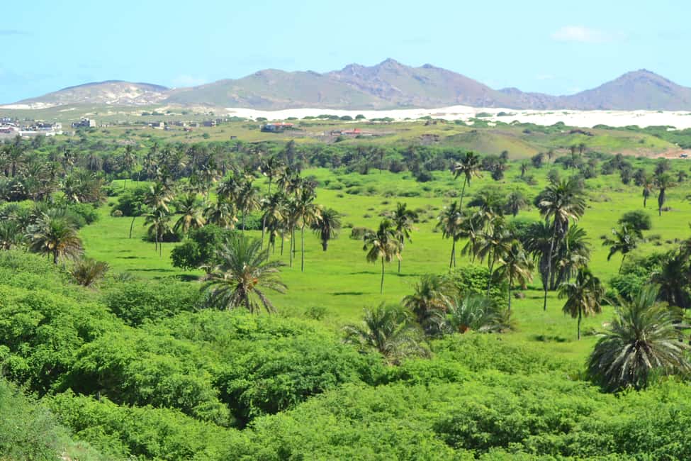 imagem n.3 de Boavista: Rabil, Naufrágio, City, Lanches e Bebidas - 4x4 Tour atividade em Ilha de Boa Vista, carregada pelo fornecedor