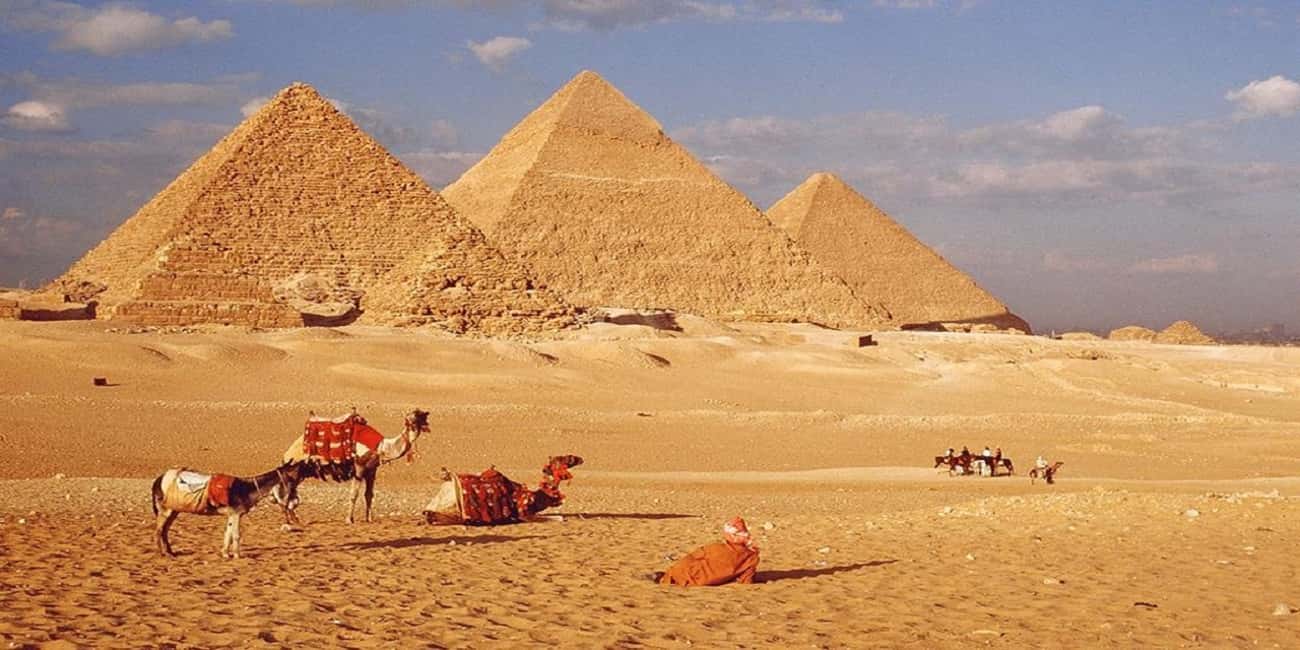 image n.12 of Cairo: 8-Day Private Egypt Tour with Flights and Nile Cruise activity in Red Sea Governorate, uploaded by supplier