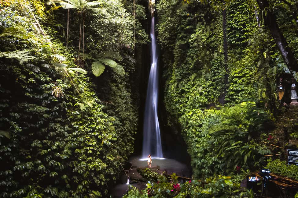 image n.4 of Bali: Customized Private Car Charter with Optional Guide activity in Ubud, uploaded by supplier