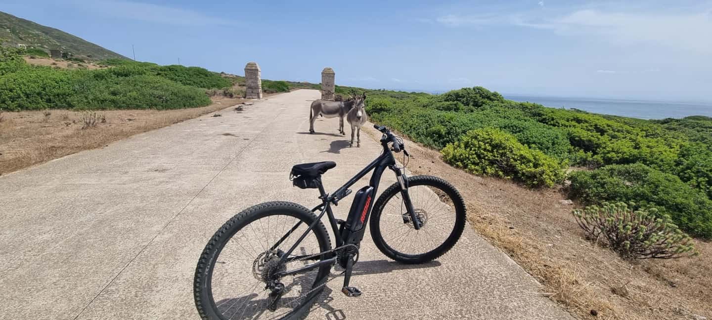 image n.11 of From Porto Torres: E-Bike Rental activity in Sardinia, uploaded by supplier