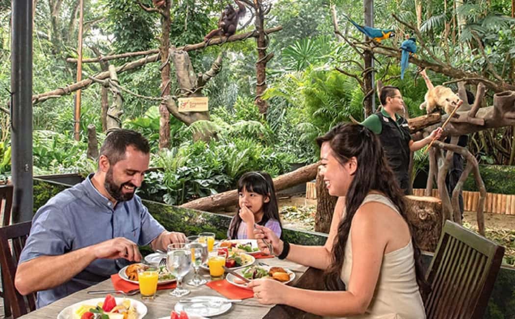 imagen n.º 8 de Zoo de Singapur: Ticket electrónico de entrada de 1 día actividad en Singapur, subida por el proveedor