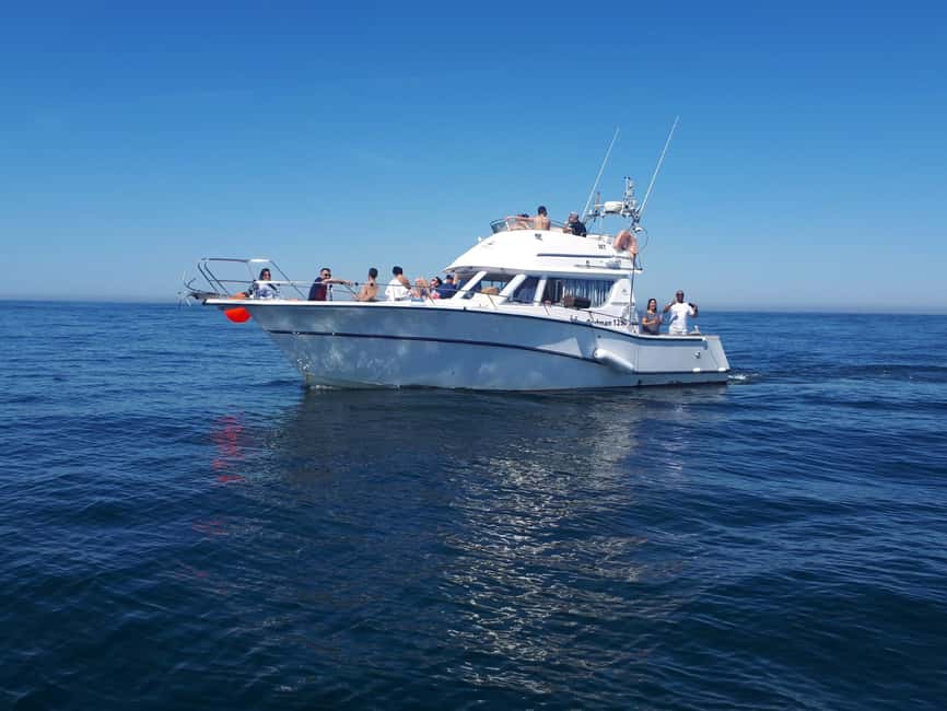 image n.2 of Cascais Deep-Sea Fishing Trip activity in Cascais, uploaded by supplier