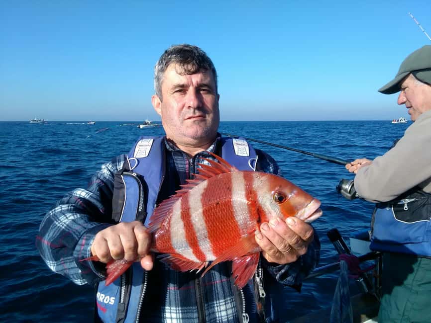 image n.10 of Cascais Deep-Sea Fishing Trip activity in Cascais, uploaded by supplier