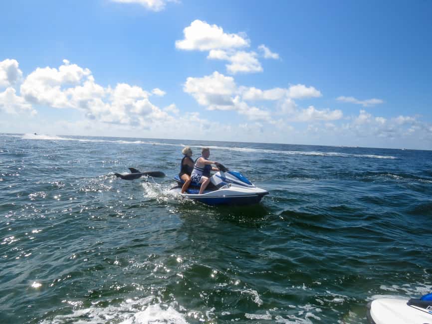 image n.8 of Destin: Crab Island Dolphin Watching Jet Ski Tour activity in Destin, uploaded by supplier