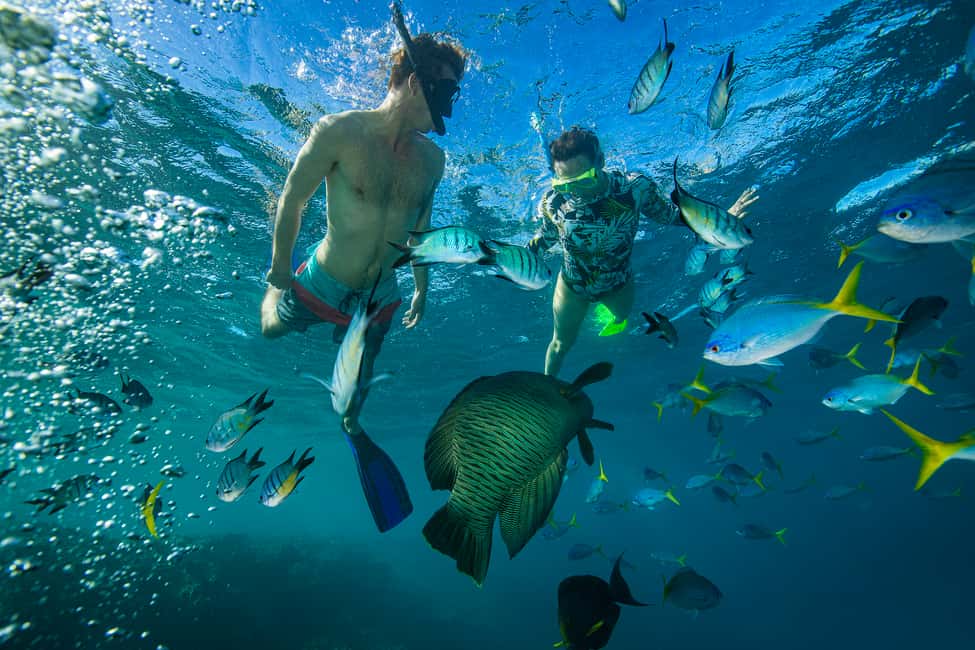 image n.5 of From Airlie Beach: Hook Island Cultural Tour, Sail & Snorkel activity in Queensland, uploaded by supplier