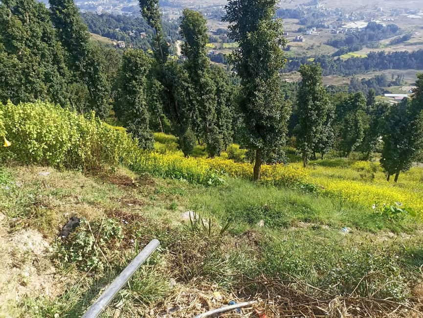 image n.4 of From Kathmandu: Nagarkot Hike with Mount Everest View activity in Bhaktapur, uploaded by supplier
