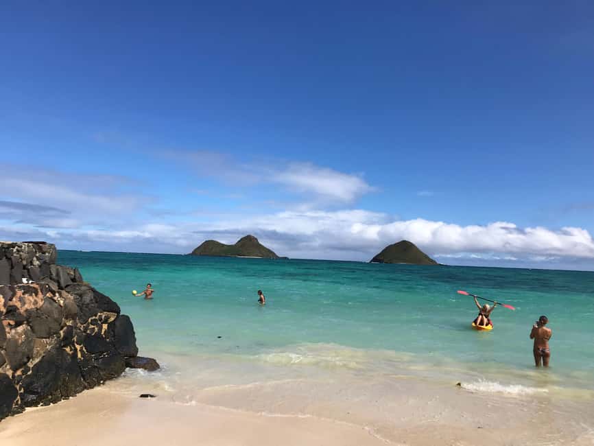 Immagine nº 17 di Oahu: Escursione alle cascate di Manoa e giornata sulla spiaggia del lato est attività a Honolulu, caricata dal fornitore