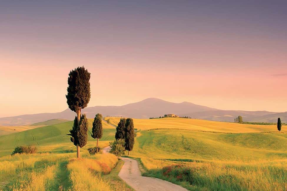 Immagine nº 18 di Da Siena: tour enogastronomico per piccoli gruppi nelle colline toscane attività a Montepulciano, caricata dal fornitore