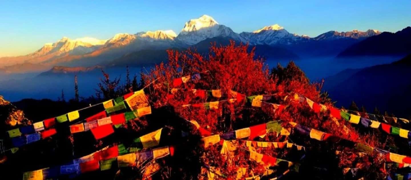 image n.13 of Scenic Adventure: 2-Day Private POON HILL Trek from Pokhara activity in Pashchimanchal, Western Region, uploaded by supplier